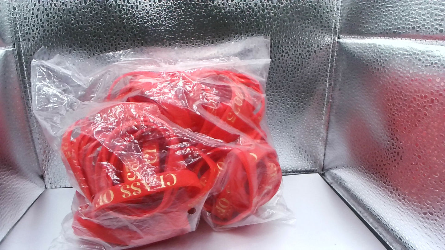 Class of 2025 Rubber Graduation Bracelets - Full Bag red