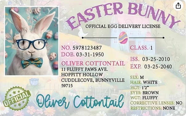 Easter Basket Stuffers,Easter Bunny Lost Driver's License,Easter Decorations,Easter Rabbit Card, Easter License Card for Kids, Bunny Driver's Id, Easter Rabbit License Easter Gift for Kids (1 Pcs)