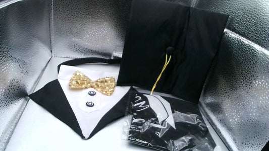 Medium Dog Graduation Tuxedo Cap and Gown 2024 Medium